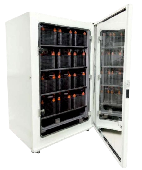 full image removebg preview