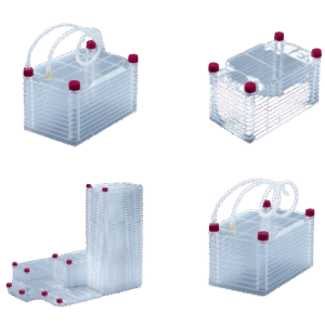 untitled design 66 removebg preview