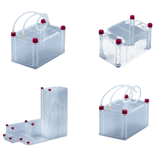 untitled design 66 removebg preview